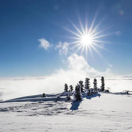 19 Alpe Maritima - Luxury Lakeview Annenheim